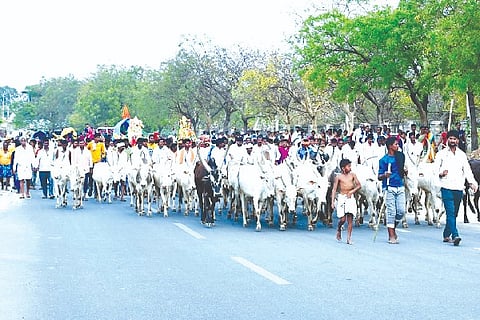guggari