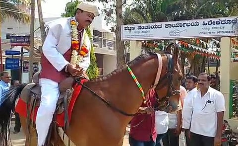 horse