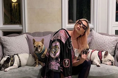 lady gaga