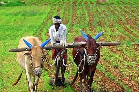 loan for farmers