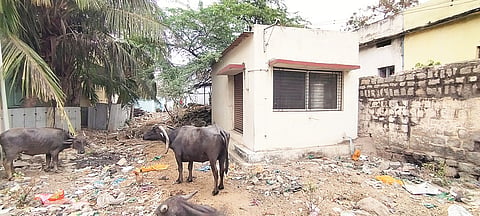 16 kurugodu 1c