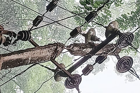 31vtp1 Light Pole