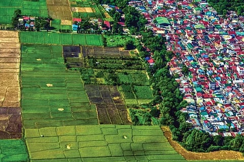 Agriculture