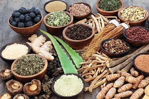 Ayurveda (1)