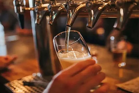 Beer Drink