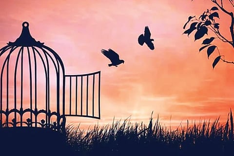 Cage Bird