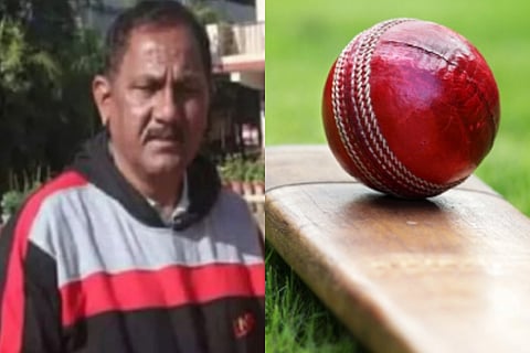 Cricket