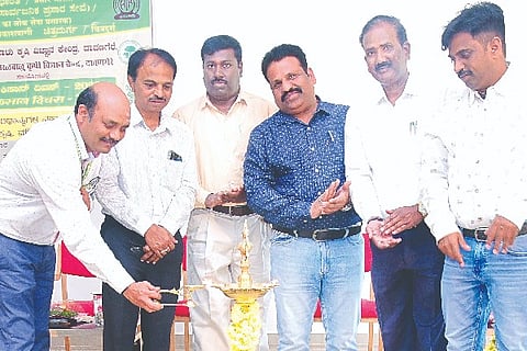 Davangere, Agriculture, Science, Cereals,