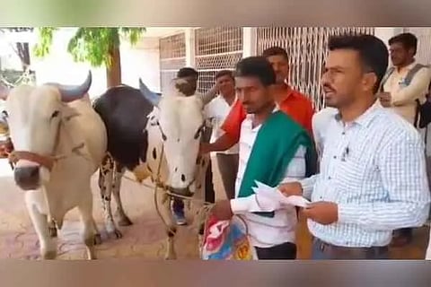 Farmer