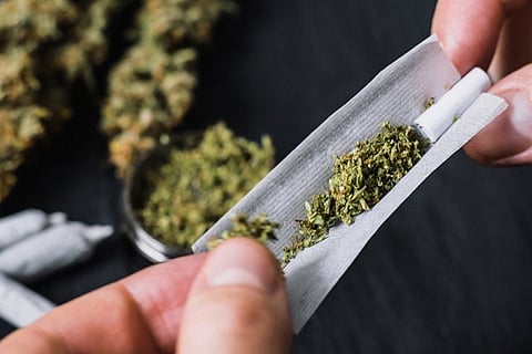 Ganja-e-consumo