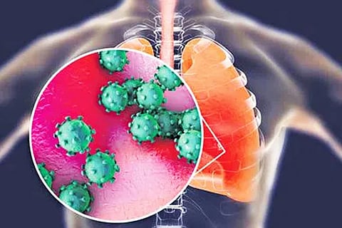 H3N2 Influenza