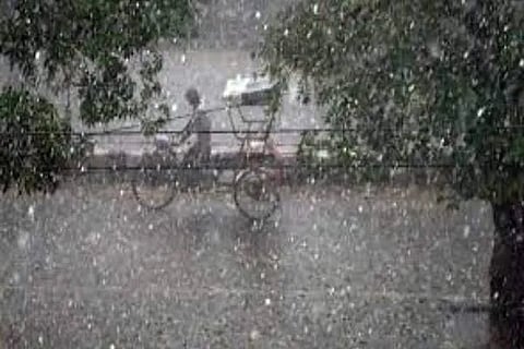 Heavy Rain