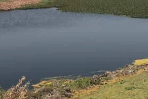 Lake