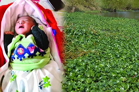 New born Child