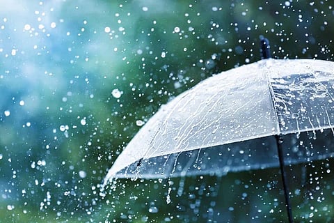 Rain