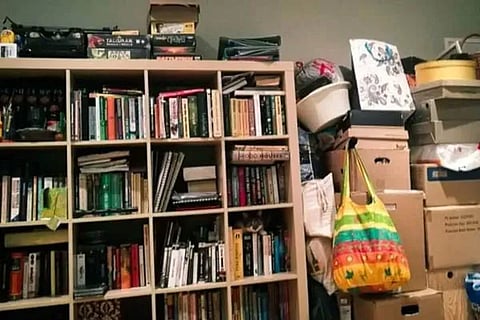 Spot the Cat