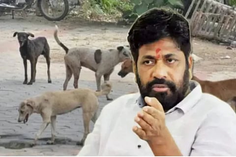 Stray dogs should be sent to Assam for consumption