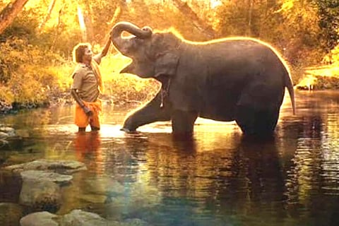 The Elephant Whisperers