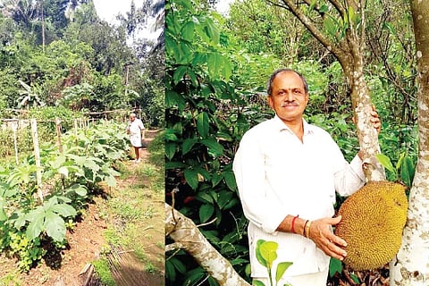 Agriculture
