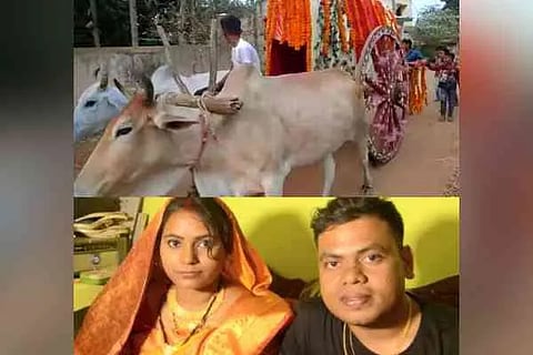 Bullock Cart