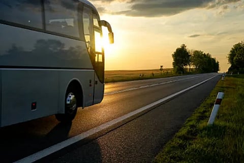 bus