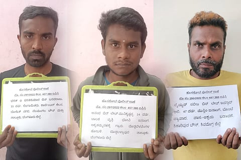 criminals (1)