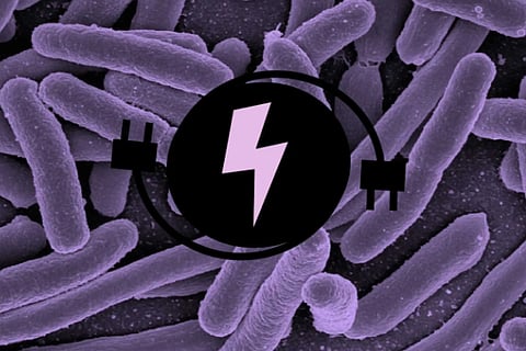 electricity