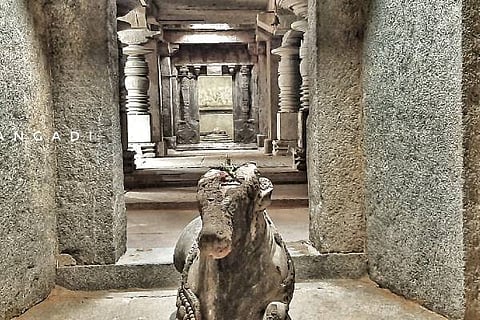 jlr temple
