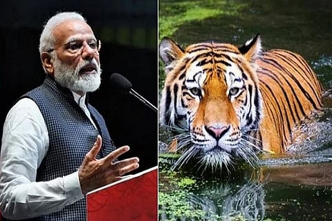 modi