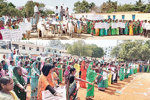 Alavandi Voting Oath