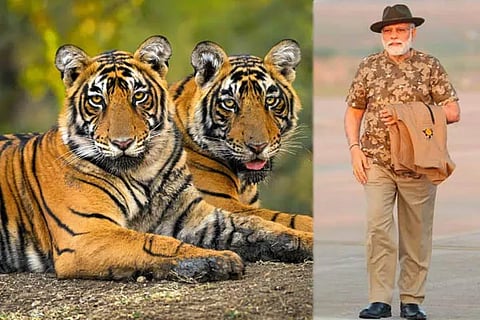 Bandipur Forest