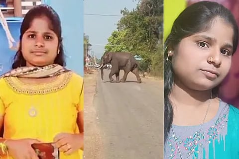 DVG Elephant Attck
