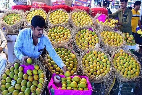 Fruit Vendor