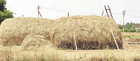 HUVINA HADAGALI MEVU