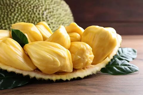 Jackfruit