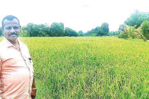 krishi sadhane