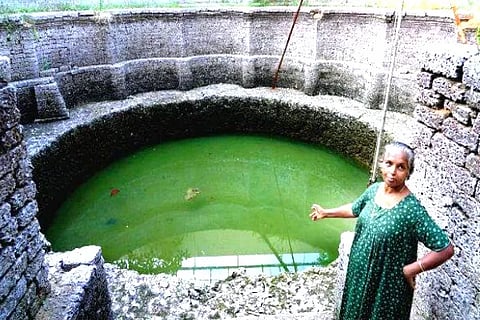 Magical Pond Kerala