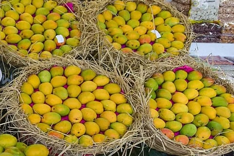 Mango