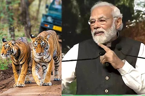 PM modi (1)