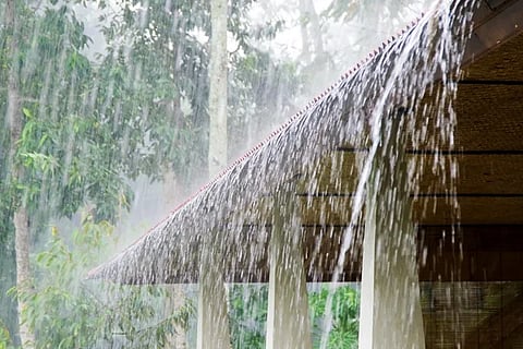 Rain (1)