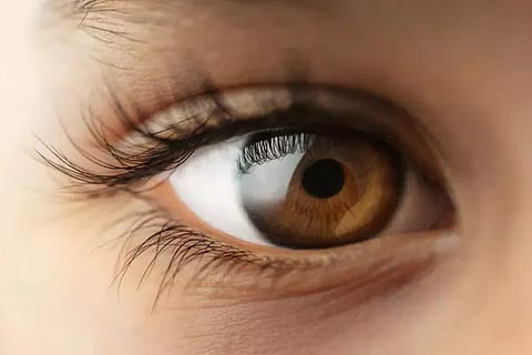eye