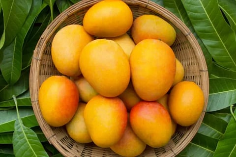 mango