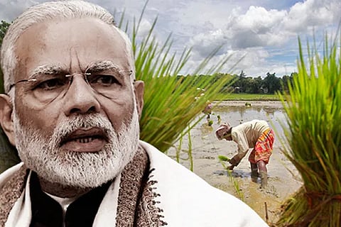 BJP Agriculture