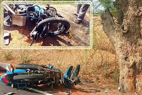 Bike Tree Accident