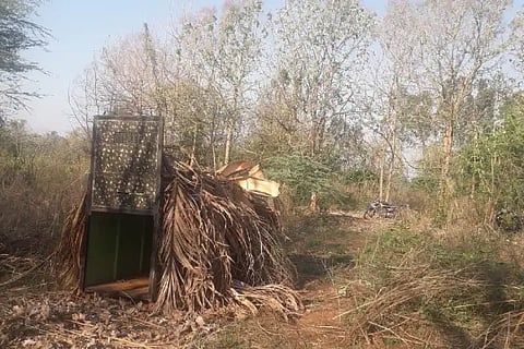 Honnali, garden, leopard, arrest,