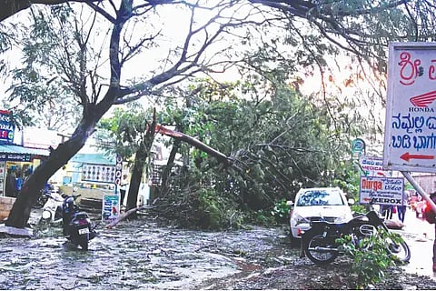 Rain, thunder, Chitradurga, tree,
