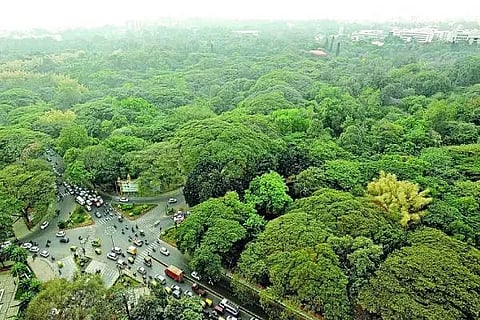 Cubbon Park