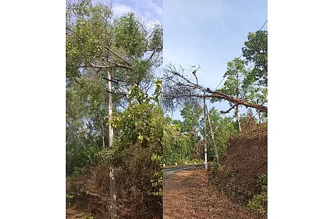 Electric pole battered by wind and rain