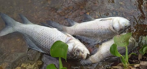 KELAGERI KERE