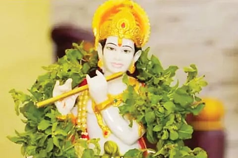 Krishna (1)